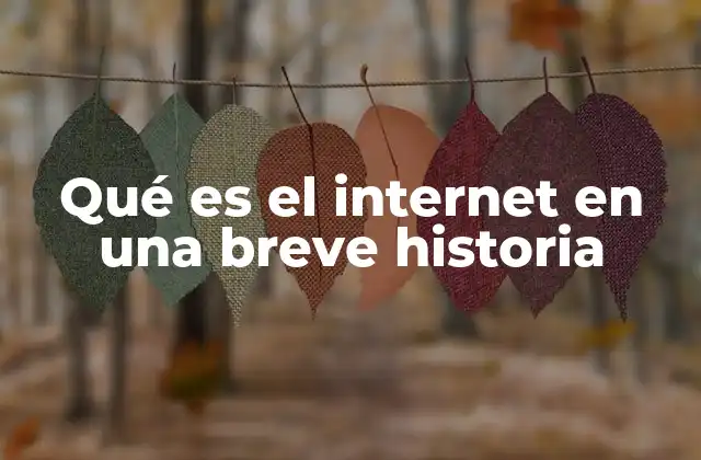 Qué es el Internet en una Breve Historia