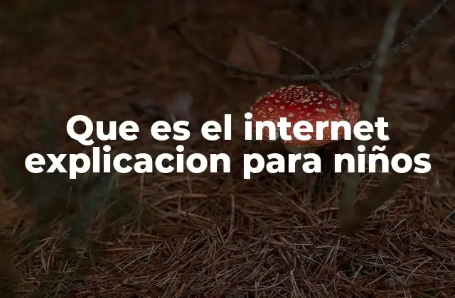 Que es el Internet Explicacion para Niños