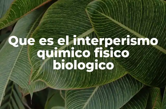 Que es el Interperismo Quimico Fisico Biologico