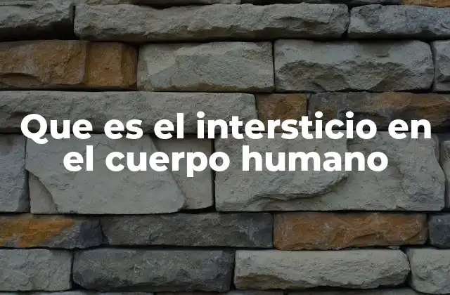 Que es el Intersticio en el Cuerpo Humano