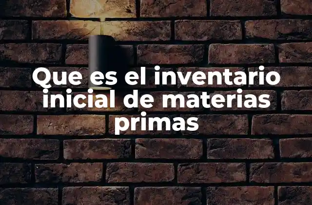 Que es el Inventario Inicial de Materias Primas