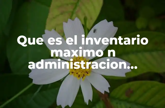 Que es el Inventario Maximo N Administracion Financiera