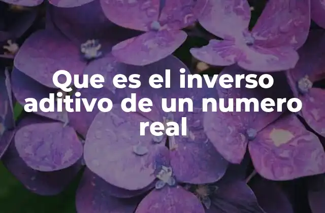 Que es el Inverso Aditivo de un Numero Real