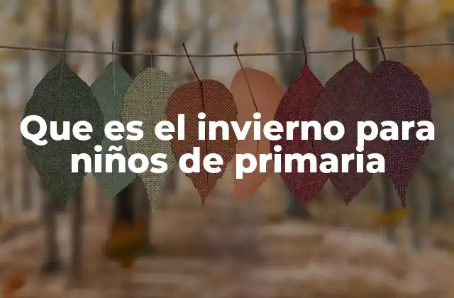Que es el Invierno para Niños de Primaria