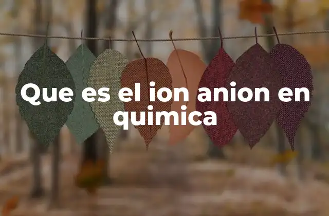Que es el Ion Anion en Quimica