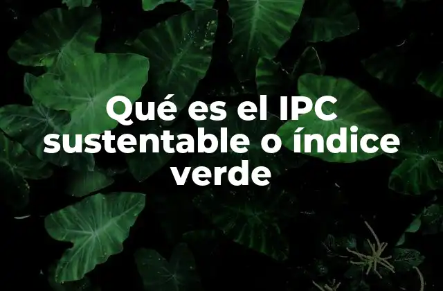Qué es el Ipc Sustentable o Índice Verde 2 La evolución del consumo consciente y su impacto en la medición económica