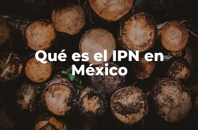 Qué es el Ipn en México