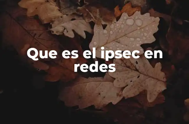 Que es el Ipsec en Redes