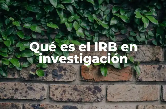 Qué es el Irb en Investigación