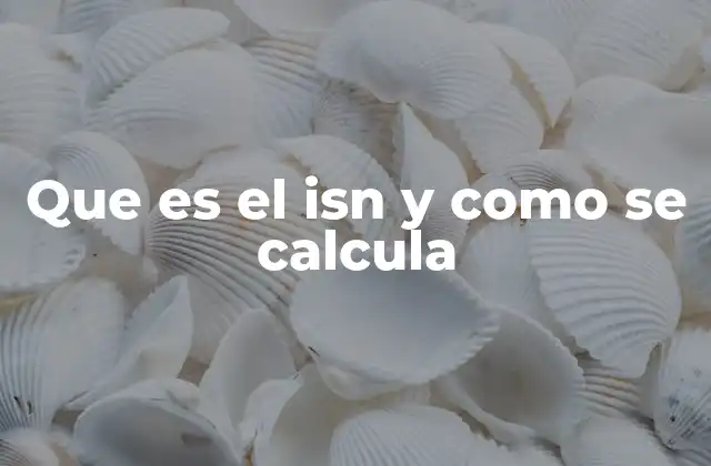 Que es el Isn y como Se Calcula 2 La importancia del ISN en la gestión digital de contenidos