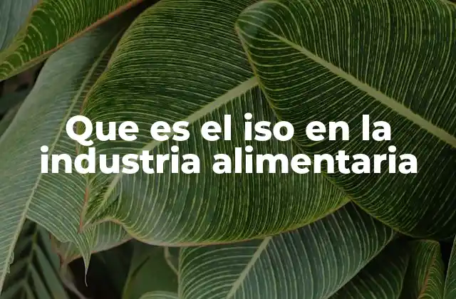 Que es el Iso en la Industria Alimentaria