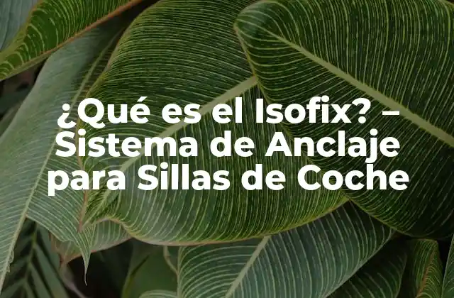 ¿qué es el Isofix? – Sistema de Anclaje para Sillas de Coche