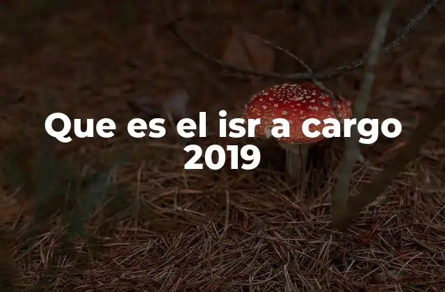 Que es el Isr a Cargo 2019