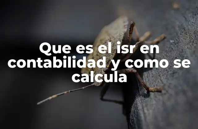 Que es el Isr en Contabilidad y como Se Calcula