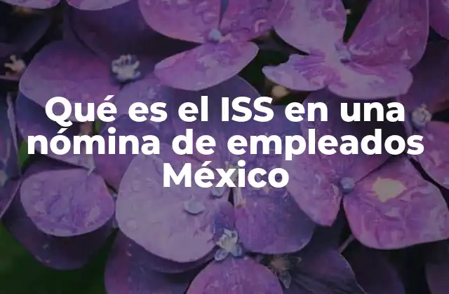 Qué es el Iss en una Nómina de Empleados México
