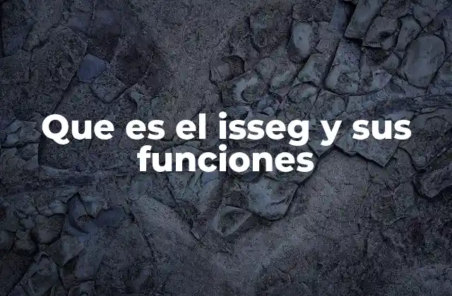 Que es el Isseg y Sus Funciones