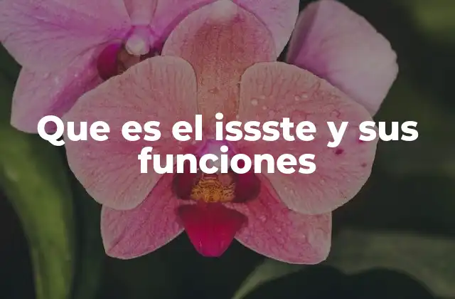 Que es el Issste y Sus Funciones