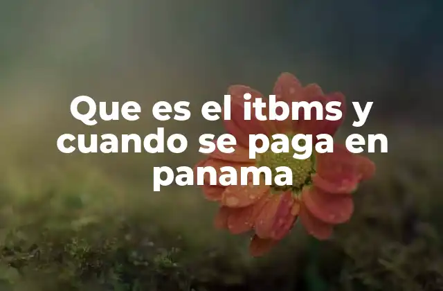 Que es el Itbms y Cuando Se Paga en Panama