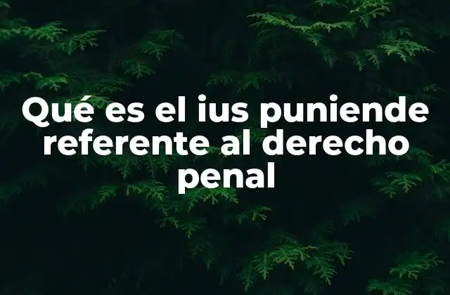 Qué es el Ius Puniende Referente Al Derecho Penal