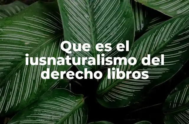 Que es el Iusnaturalismo Del Derecho Libros