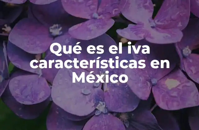 Qué es el Iva Características en México