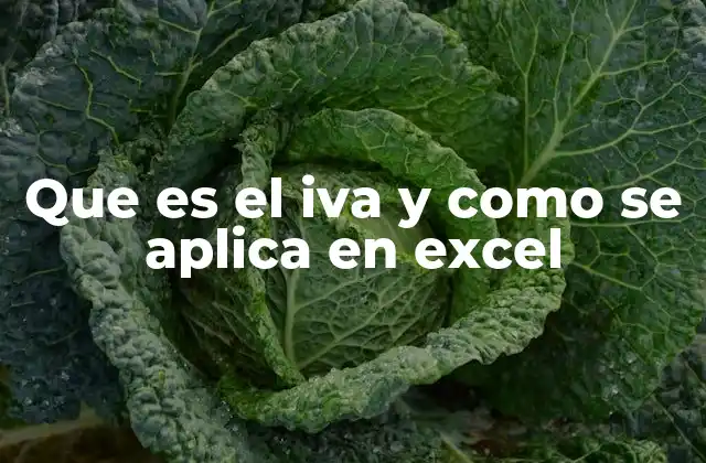 Que es el Iva y como Se Aplica en Excel