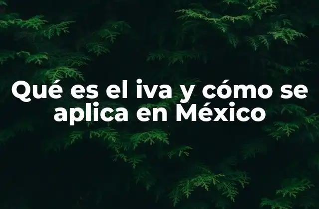 Qué es el Iva y Cómo Se Aplica en México