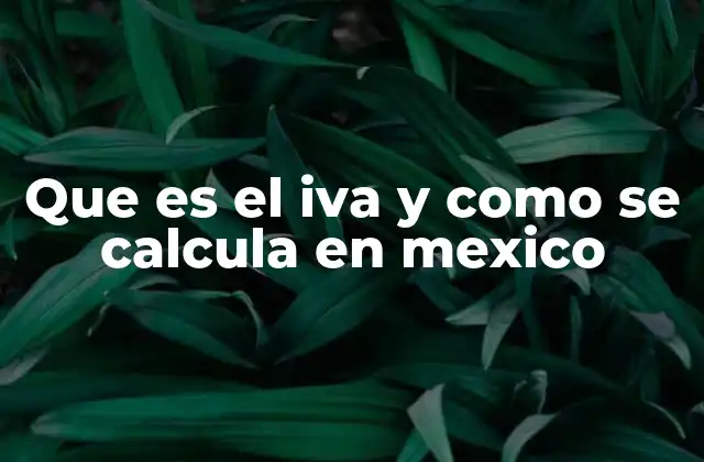 El papel del IVA en la economía mexicana