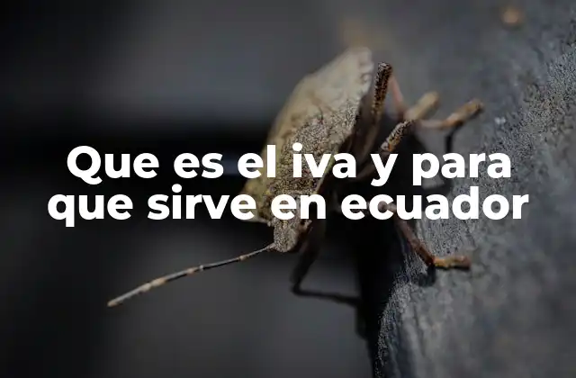Que es el Iva y para que Sirve en Ecuador