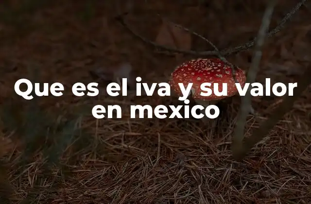 Que es el Iva y Su Valor en Mexico