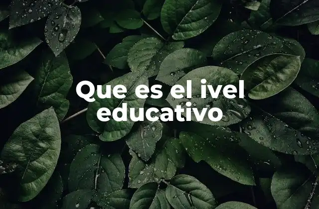 El papel de los niveles educativos en la sociedad