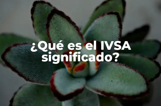 ¿qué es el Ivsa Significado?