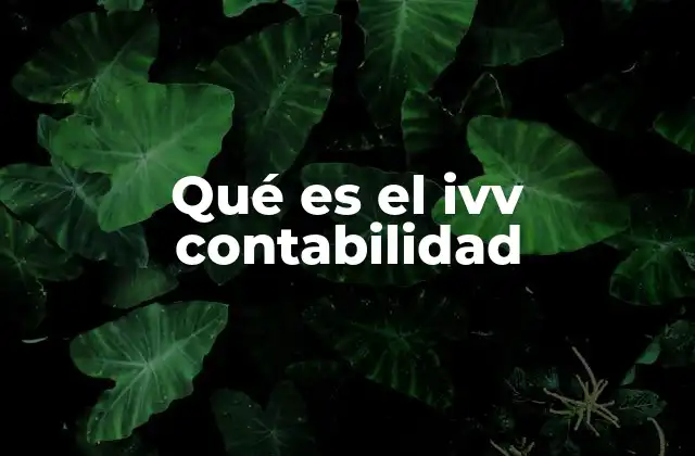 Qué es el Ivv Contabilidad 2 El rol del IVV en la gestión de activos financieros