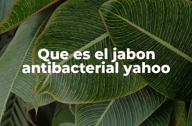 Que es el Jabon Antibacterial Yahoo
