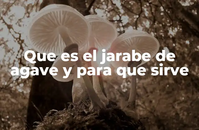 Que es el Jarabe de Agave y para que Sirve