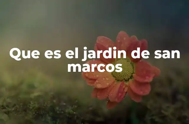 Que es el Jardin de San Marcos