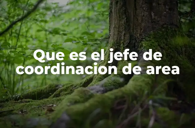 Que es el Jefe de Coordinacion de Area