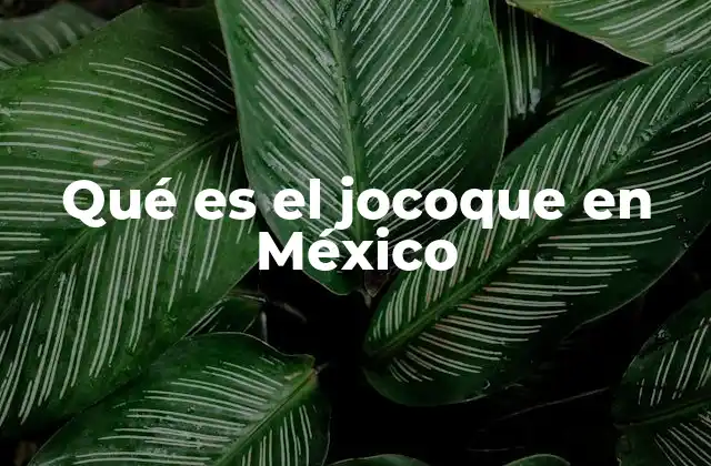 El jocoque como expresión de identidad regional