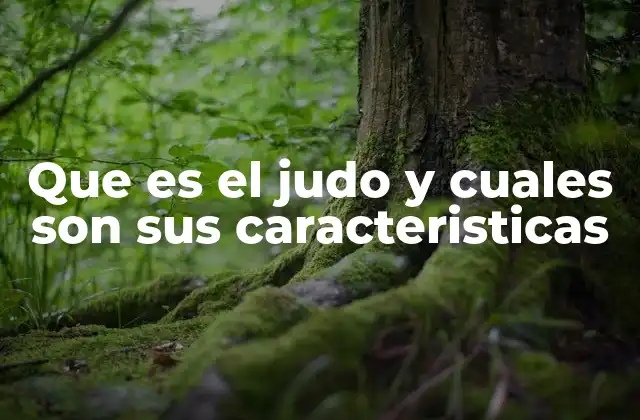 Que es el Judo y Cuales Son Sus Caracteristicas