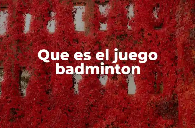 Que es el Juego Badminton