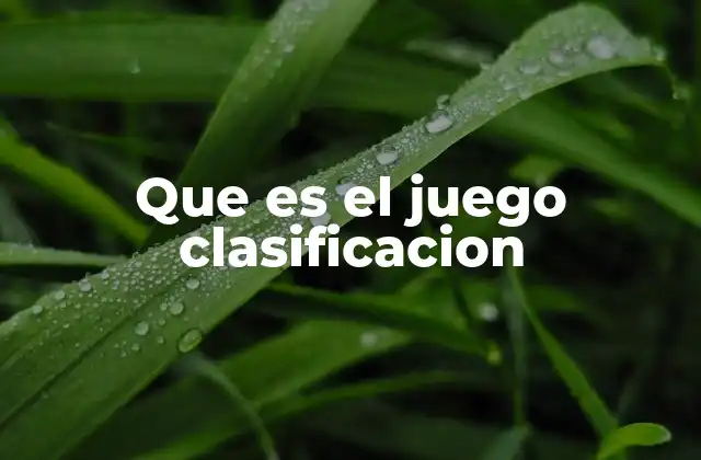 Que es el Juego Clasificacion