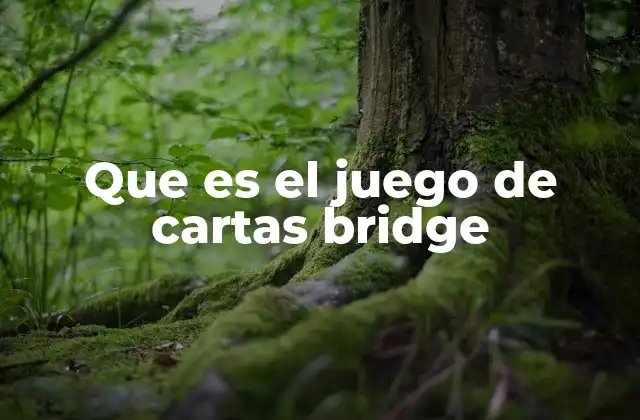 Que es el Juego de Cartas Bridge