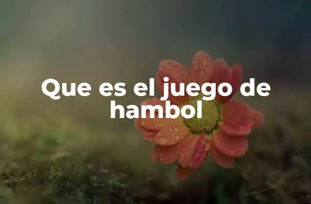 Que es el Juego de Hambol 2 Historia y evolución del juego hambol