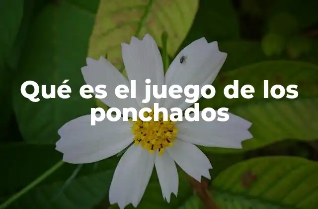 Qué es el Juego de los Ponchados