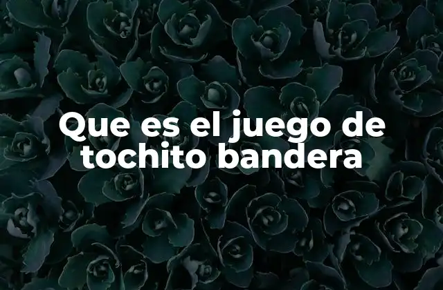 Que es el Juego de Tochito Bandera