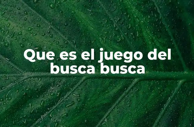 Que es el Juego Del Busca Busca