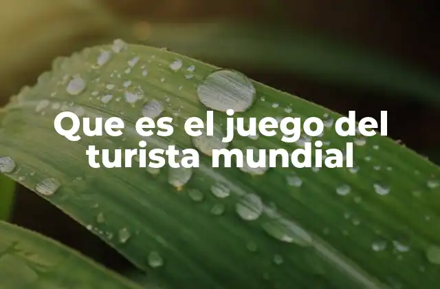 Que es el Juego Del Turista Mundial