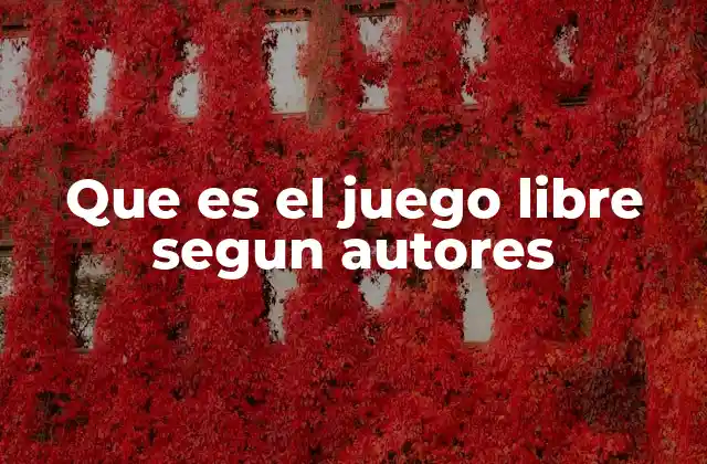 Que es el Juego Libre Segun Autores