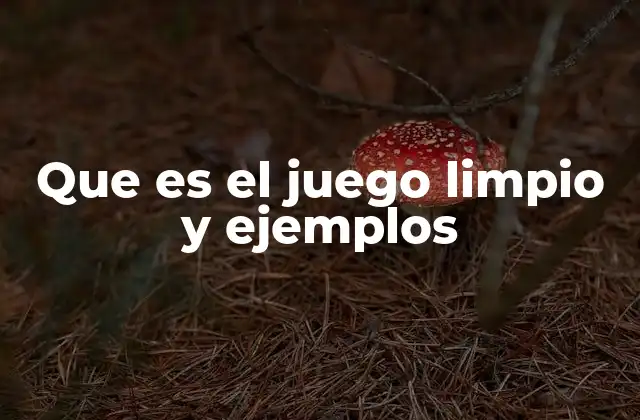Que es el Juego Limpio y Ejemplos 2 El juego limpio como base de una sociedad justa