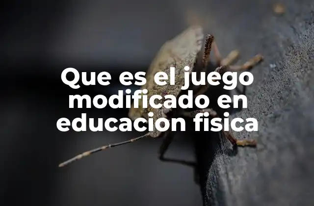Que es el Juego Modificado en Educacion Fisica